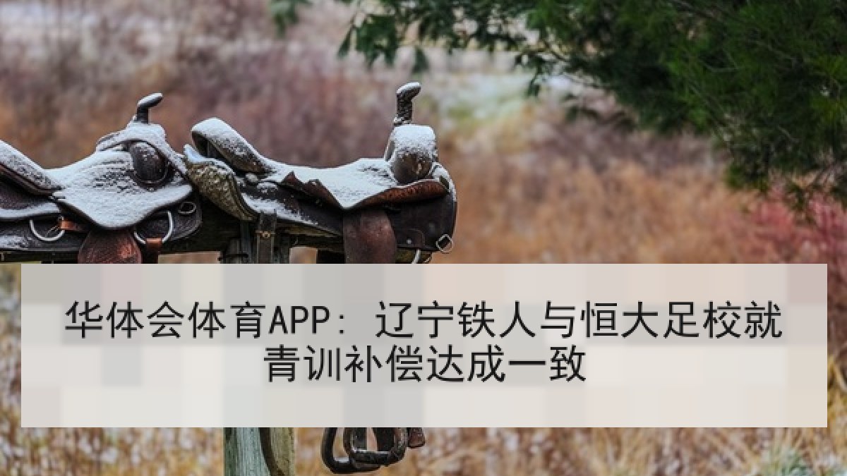 华体会体育APP: 辽宁铁人与恒大足校就青训补偿达成一致