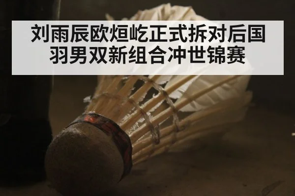 刘雨辰欧烜屹正式拆对后国羽男双新组合冲世锦赛